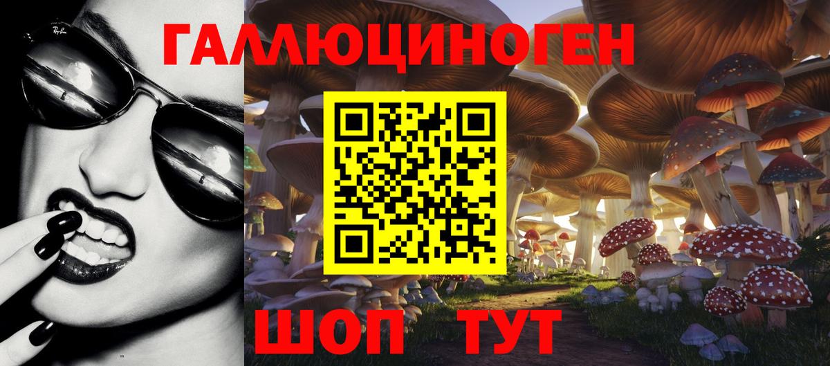 Одинцово  Псилоцибиновые грибы MAGIC MUSHROOMS  где можно купить   Вход с VPN 